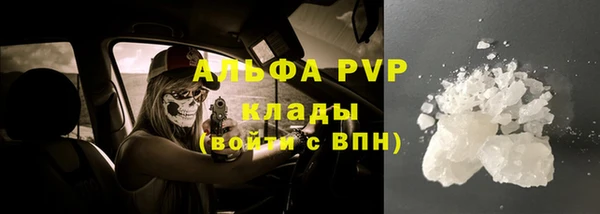 крисы Бугульма